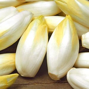 Tt7JG7BHXBYJsfF54rnnyLEYkDZuGWXF300_300-1