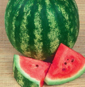 UA46LhNFOLFl3TDGpX2S0TzEhbBV1CVl