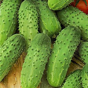 UJRu92iWIzPchpIGZKhxRGLTkUFh2z6A300_300-1