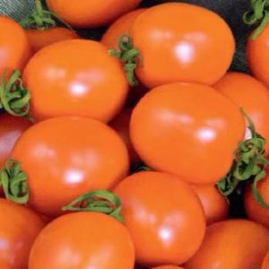 UhlbZUGIkanA1wCCzstezHPeIivMxpp4300_300-1