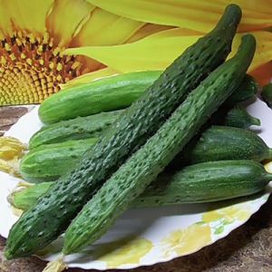 UzH4zHwEQSAYPcArETVPSzbW7HA9X69u300_300-1