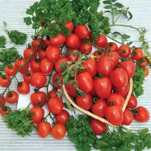 V0swEDMoTlmL5w7XbwtkXczqtZYgjclY300_300-1