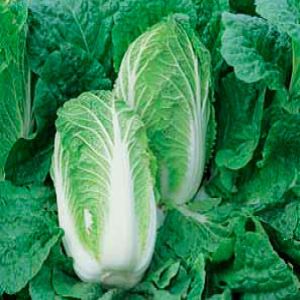 W4HlPIlgioxe5qfF0bz0s7K4Zo1zRAXe300_300-1