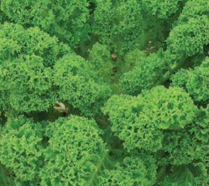 WBeZXF1WDORI6XFLx3DDp2R5oWig36E7