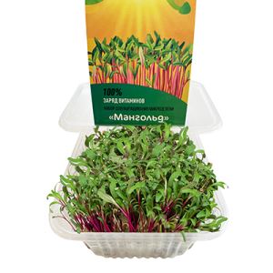 WdH9T45Ol5pTMGhkmST2Hlo3QEbkBciy300_300-1