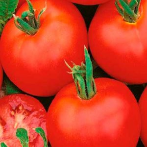 WvrX2nPR6LgdOGE4FcqVLszngTHHTKqk300_300-1