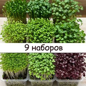 XGNBGaSBcT6muV4J4GvuZPLPBiOcZTAk