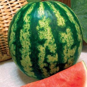 XZvMkDYkuEQPAKiYLytMXmnCcAfUO1Xq300_300-1