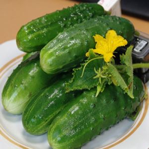 XbgJQObjwVgzDGc98rYWzOEitfuoRyYV300_300-1