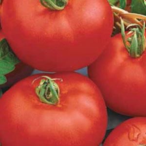 XuS1EPIDRQohlKFL94qpVvNRUsCJzhTX300_300-1