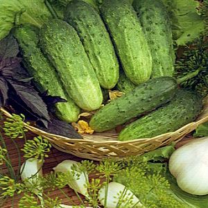 Y1AFFAfuvu6XrhQxMCLTKOZoXcvNcoEw300_300-1