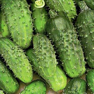 Y7OdHLfOUBgHfIwmoiO8jNbbughYHoh1300_300-1