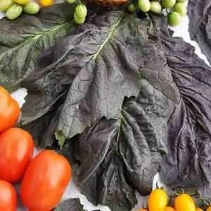 YRltODbKKEglA7a78OCDkBfsaSWKQqC6300_300-1