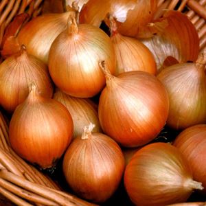 YX2qS8QClLML3zRP96f5XMwSkcBbZlUR300_300-1