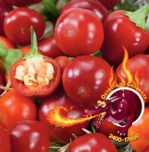 Z1OlCil91LNkc3vL33AEsHVDxyXiiFb8300_300-1