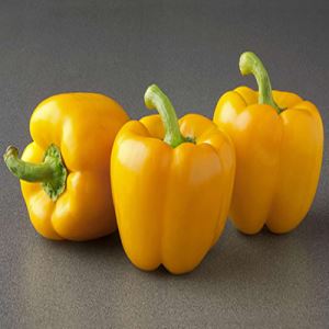 Z5s0bH4C3HMZulkmjOZREnr6TORGJ1B8300_300-1