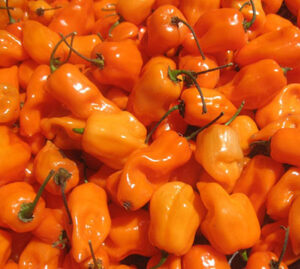 ZbcVMjmbpbnnJCYNsRiGrryGRlBFHtFe