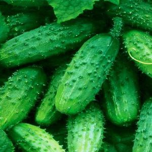 aBnfMxXe6TwHsWFI6kWh03PPnSsALPov300_300-1