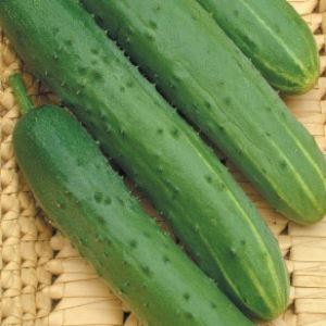 aX0BkTuVSoIvTpvFLRpxIDJlABcaqW9U300_300-1