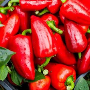 alF4EOb4mE5TBYkxPV9XfTLRVPzvjQjt300_300-1