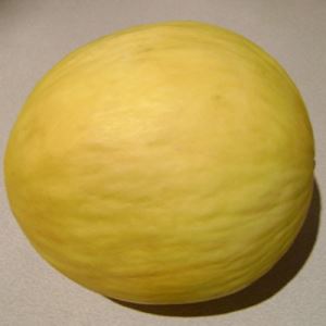 alF5WyuogROlxRBBKUB7SUBnCfBvuUIo300_300-1