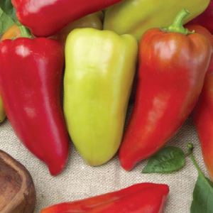 bgwq39UQo5T9v5Bg37xY3jT7DoptFI4Z300_300-1