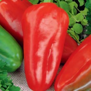 cEhmK9VF1EBa4kIrf5HZ6uijaYOBiPHs300_300-1