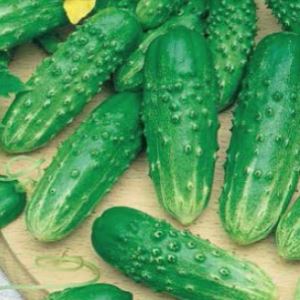 cS5GiyJnns3ZpfzahbJlm48VwQNDwhRW300_300-1