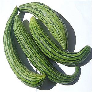 dVP4CAje80c8cv6Doc4DOpsY3SHlCeV3300_300-1