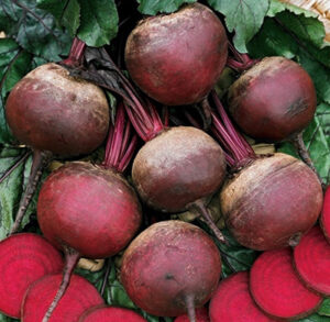 dbFzC9iczSOAEnEqZRbv27RwoJP8J40h