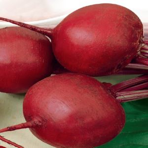 dzhbrvmA2gxQ62w0yiqCHY01cHeqvY87300_300-1