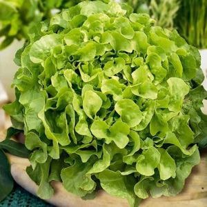 e6uJdmMrHdoHd7ixmesD6yWKWakGrEvc300_300-1