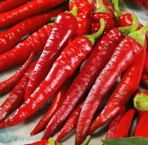 eH7Z0OLr64htIT5hakLUEuQSQKtcUA2F