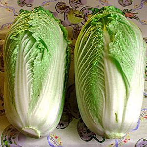 fTWQ2Bp1fYedszOkR8hmhk3gmDMF29Gj300_300-1