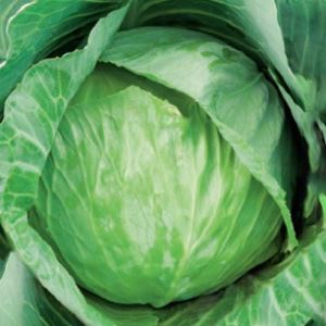 faUvsiTgxpCi2Ns4XtiUtrNei1C5YZbr300_300-1