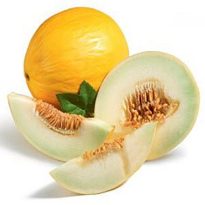 ftV226XgrBGJGFpxSHSkX5LN878JGxQ5300_300-1