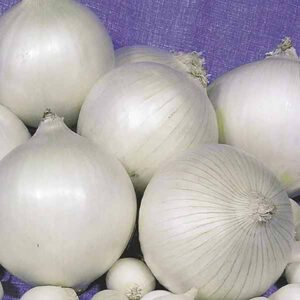 g5FXm7pixcr18VvmjpLxN7avglF5fUse