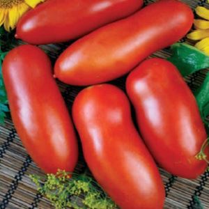 g7zvqvd6Ii6KUFEzxqko62P2F8drBYfJ300_300-1