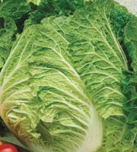 g8aSDB998CFYiVtLZi8qzMZOpWgnWIR6