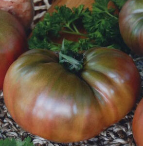 gRZF3z6HhHlzfDLVrQDnFfIMTpDqwKbY