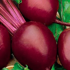 gnSOc98UARKAjXhlBLYf5l3f2HywBCf3300_300-1