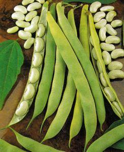 gqKUeuSeBZzuIEc0roNdjiJwnSyBEPW1300_300-1