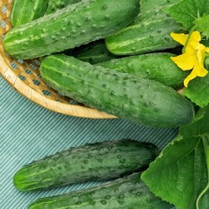 gvJbgo7tktX9fMwk9YYbUsguSpX2RQ1P300_300-1