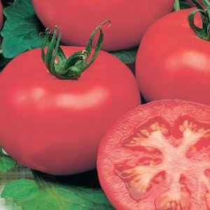 h0bcS7UeB0HReI1leqfcWfYVefYfElrH300_300-1