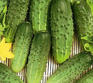 hAKRlPn7ONQR77QFCGXvUM6aaar8BNLa300_300-1