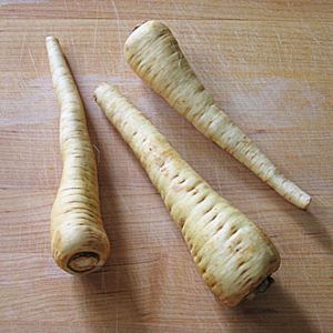 hETwuYKQaAgPBsTvtIBrhh1NUu1ZuFbd300_300-1