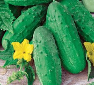 hG6tjlcn4ke3gOWhoaasxLOZeT5DKklU300_300-1