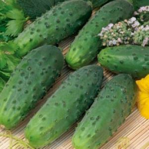 hhomRJ794Y3AT79eb4LtOoBH4BN1WgTQ300_300-1