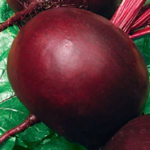 iFVOWE2moqABA3WDgicqgiZZHHTq3Xpt300_300-1