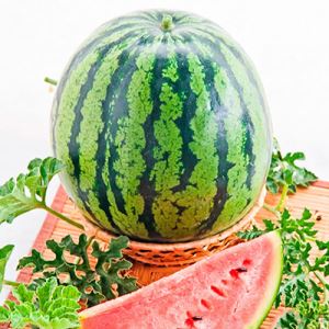 jILpmgsMfunVXZiUhWYSqSF7sFq8XQbJ300_300-1